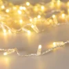 Уличная светодиодная гирлянда Ardecoled нить 230V разноцветная ARD-String-Classic-10000-Clear-100Led-Sync RGB 031119