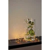 Светодиодная гирлянда Eglo DEW DROP 410569 Светодиодная гирлянда Eglo DEW DROP 410569