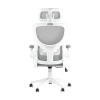 Офисное кресло TopChairs Airone D-502-1 white Офисное кресло TopChairs Airone D-502-1 white