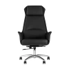 Кресло руководителя TopChairs Viking черное A025 DL001-38 Кресло руководителя TopChairs Viking черное A025 DL001-38