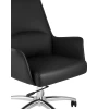 Кресло руководителя TopChairs Viking черное A025 DL001-38 Кресло руководителя TopChairs Viking черное A025 DL001-38