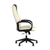 Игровое кресло TopChairs ST-Cyber 8 белый/черный экокожа ST-Cyber 8 WHITE