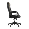 Игровое кресло TopChairs ST-Cyber 8 черный экокожа ST-Cyber 8 BLACK Игровое кресло TopChairs ST-Cyber 8 черный экокожа ST-Cyber 8 BLACK