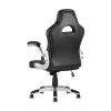 Игровое кресло TopChairs Genesis черное SA-R-10 black Игровое кресло TopChairs Genesis черное SA-R-10 black