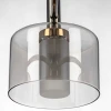 Люстра на штанге Citilux ELAN CL241171 Люстра на штанге Citilux ELAN CL241171