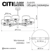 Подвесная люстра Citilux Alton CL421272 Подвесная люстра Citilux Alton CL421272
