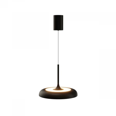 Подвесной светильник Maytoni MOD189PL-L39B3K