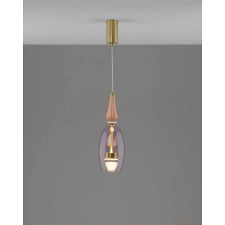 Светильник подвесной светодиодный Moderli Corals V11155-PL