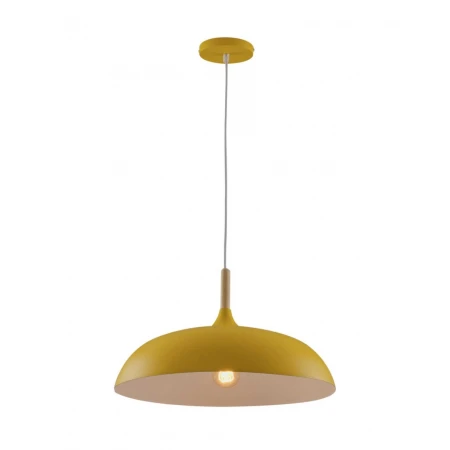 Светильник подвесной Moderli Hygo V10653-1P