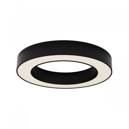 Потолочный светильник Maytoni Technical Lua C093CL-36W3K-B