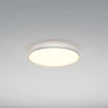 Потолочный светильник Maytoni MOD426CL-L43WK1 Потолочный светильник Maytoni MOD426CL-L43WK1