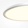 Потолочный светильник Maytoni MOD426CL-L43WK1 Потолочный светильник Maytoni MOD426CL-L43WK1