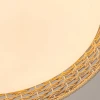 Потолочный светильник F-Promo 4749-4C