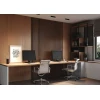 Потолочный светильник Maytoni Technical C066CL-20W3-6K-B Потолочный светильник Maytoni Technical C066CL-20W3-6K-B