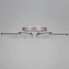 Потолочный светильник Reluce 00490-0.3-08L champagne silver Потолочный светильник Reluce 00490-0.3-08L champagne silver