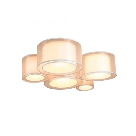 Светильник потолочный Moderli Massa V11398-5C