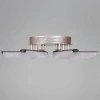Потолочный светильник Reluce 00490-0.3-06S champagne silver Потолочный светильник Reluce 00490-0.3-06S champagne silver