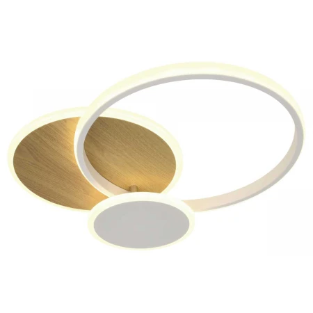 Светильник потолочный светодиодный ЭРА Модерн с ДУ City CLL-1-60-RC WH +Wood Б0069757