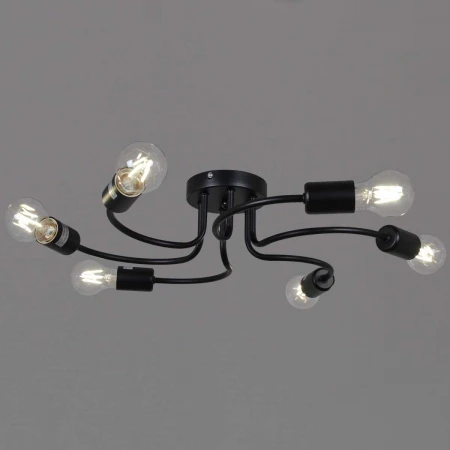 Светильник потолочный Reluce 01735-0.3-06 BK