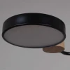 Светильник потолочный Reluce 03326-0.3-05 BK+WOOD