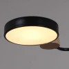 Светильник потолочный Reluce 03326-0.3-05 BK+WOOD