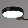 Светильник потолочный Reluce 03326-0.3-05 BK+WOOD