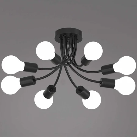 Светильник потолочный Reluce 01730-0.3-08 BK