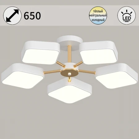 Светильник потолочный Reluce 03360-0.3-05 WH+FGD