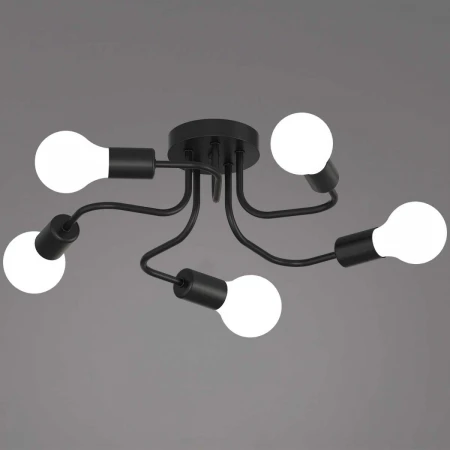 Светильник потолочный Reluce 01728-0.3-05 BK