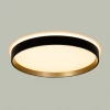 Светильник с пультом Citilux ETALON CL750321R Светильник с пультом Citilux ETALON CL750321R