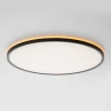 Потолочный светильник Citilux NORMA CL749501 Потолочный светильник Citilux NORMA CL749501