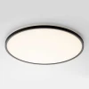 Потолочный светильник Citilux NORMA CL749501 Потолочный светильник Citilux NORMA CL749501