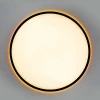 Потолочный светильник Citilux NORMA CL749501 Потолочный светильник Citilux NORMA CL749501