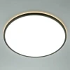 Потолочный светильник Citilux NORMA CL749501 Потолочный светильник Citilux NORMA CL749501