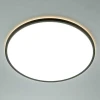Потолочный светильник Citilux NORMA CL749501 Потолочный светильник Citilux NORMA CL749501