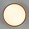 Потолочный светильник Citilux NORMA CL749501 Потолочный светильник Citilux NORMA CL749501