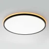 Потолочный светильник Citilux NORMA CL749501 Потолочный светильник Citilux NORMA CL749501