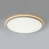 Потолочный светильник Citilux NORMA CL749500 Потолочный светильник Citilux NORMA CL749500
