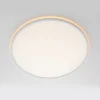 Потолочный светильник Citilux NORMA CL749500 Потолочный светильник Citilux NORMA CL749500