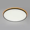 Потолочный светильник Citilux NORMA CL749601 Потолочный светильник Citilux NORMA CL749601