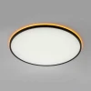 Потолочный светильник Citilux NORMA CL749601 Потолочный светильник Citilux NORMA CL749601