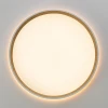 Потолочный светодиодный светильник Citilux Etalon CL750320R Потолочный светодиодный светильник Citilux Etalon CL750320R