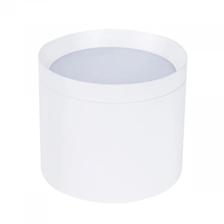 Накладной светильник Favourite 4708-1C