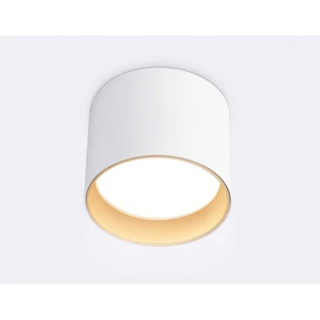 Светильник накладной Ambrella Light TN5304