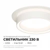 Точечный светильник Apeyron Ray 16-100