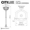 Уличный светильник Citilux FORTS CLU10P3