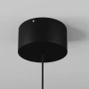 Подвесной светильник Maytoni Outdoor O491PL-L8B3K Подвесной светильник Maytoni Outdoor O491PL-L8B3K