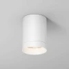 Потолочный светильник Maytoni Outdoor O500CL-L10W3K Потолочный светильник Maytoni Outdoor O500CL-L10W3K