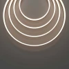 Гибкий неон Maytoni Led Strip 5м 432029