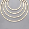 Гибкий неон Maytoni Led Strip 200661